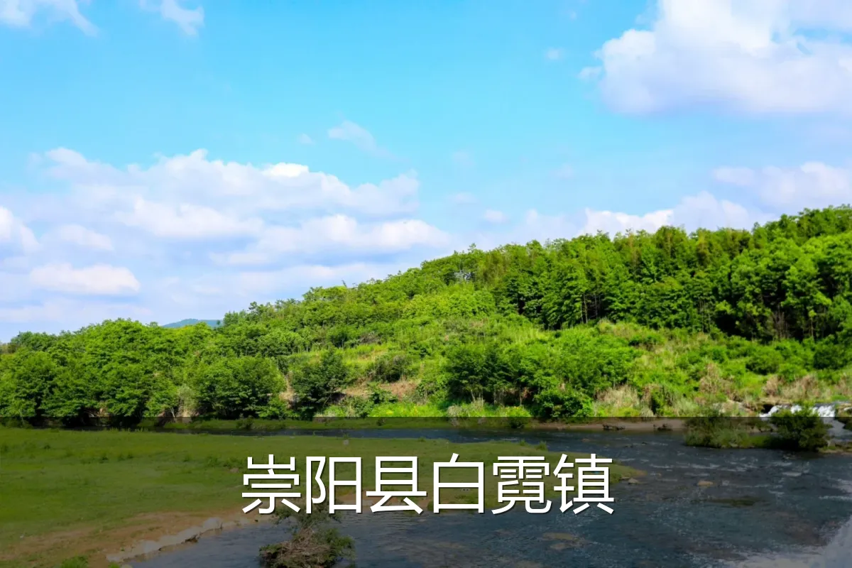 崇阳县白霓镇
