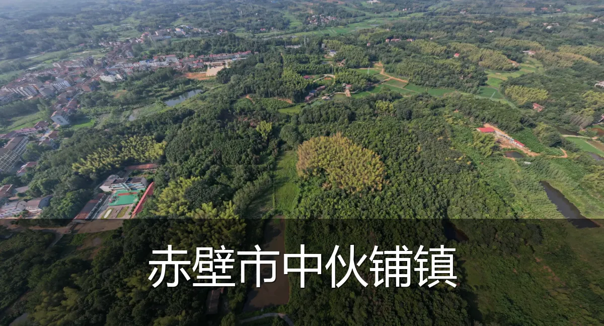 赤壁市中伙铺镇