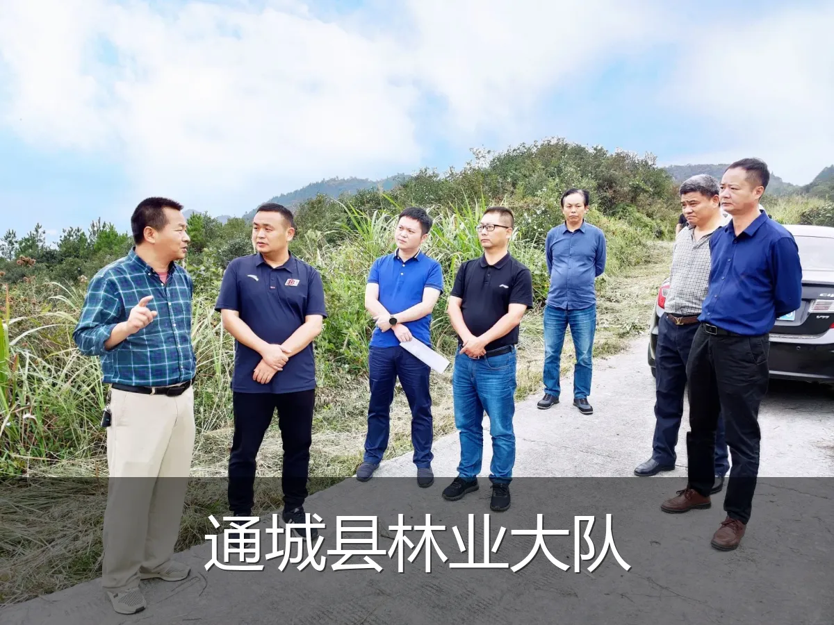 通城县林业大队