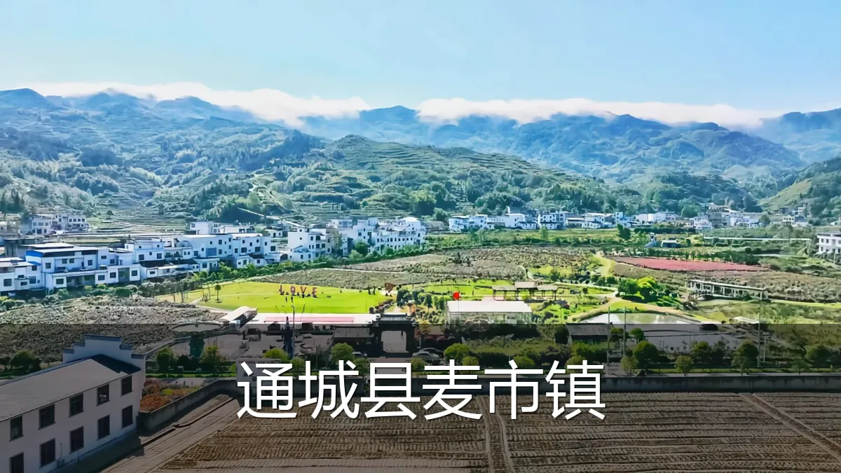 通城县麦市镇