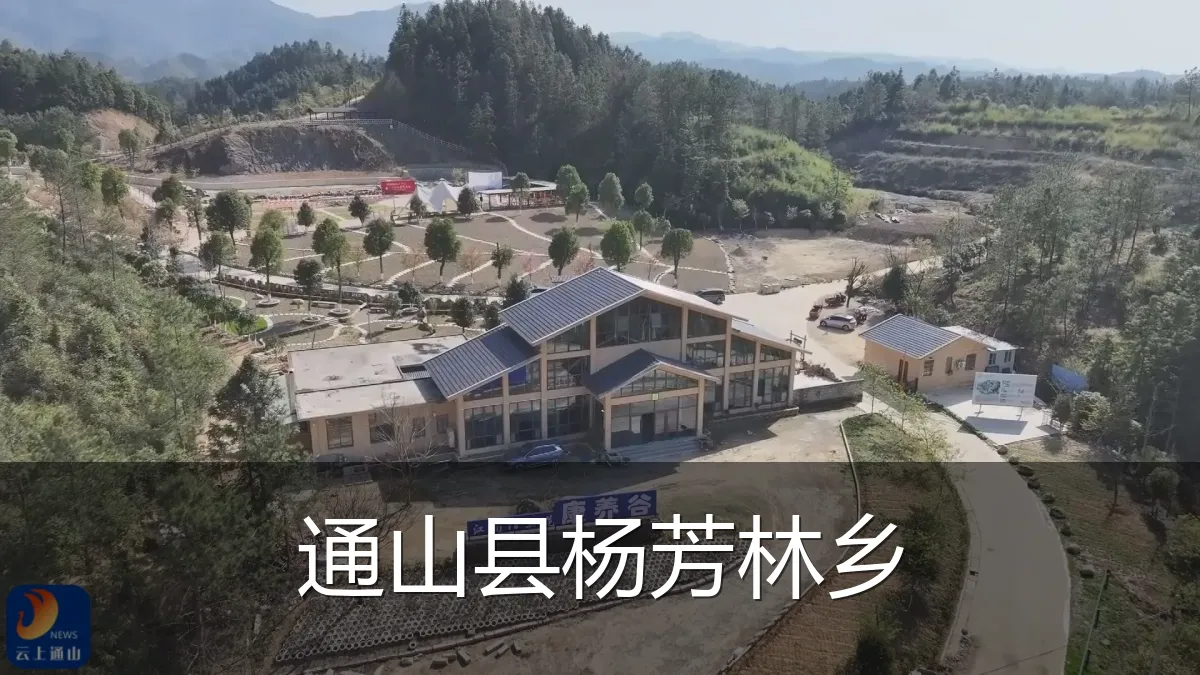 通山县杨芳林乡