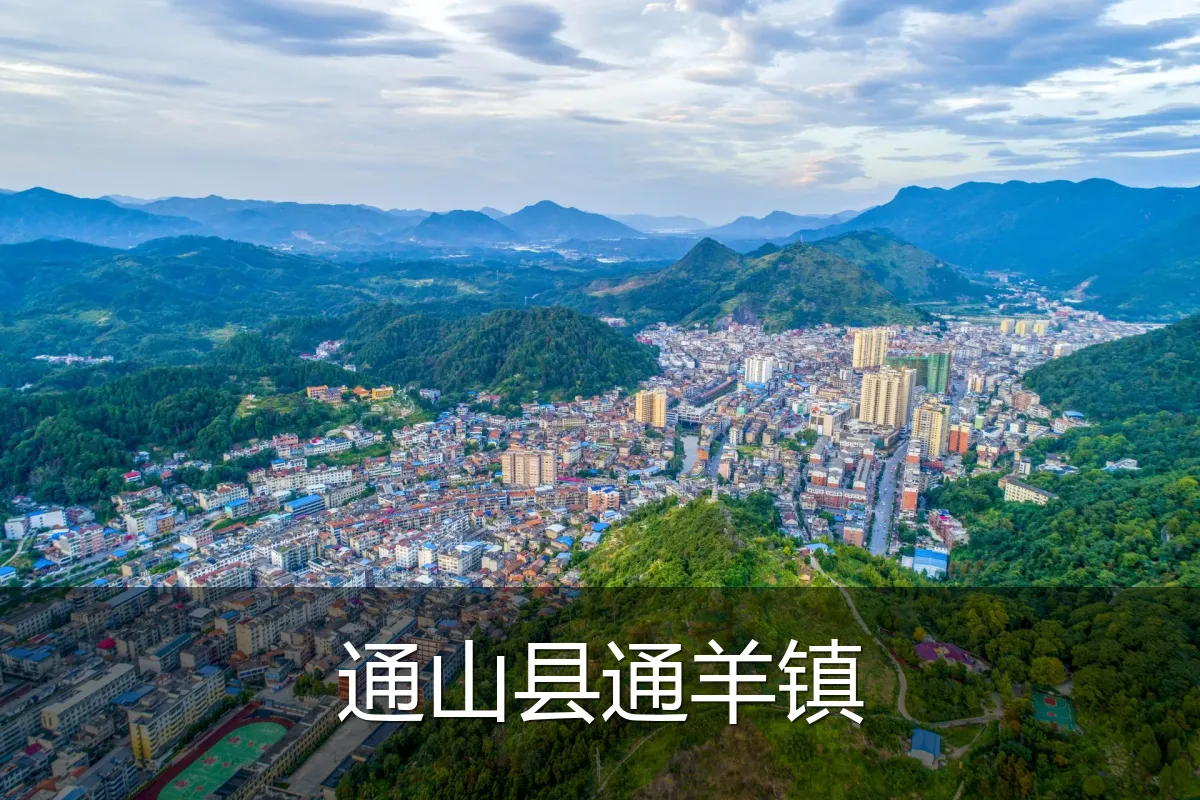 通山县通羊镇