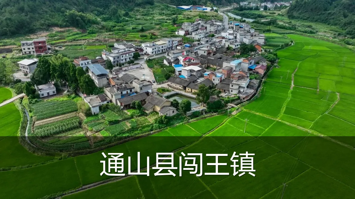 通山县闯王镇
